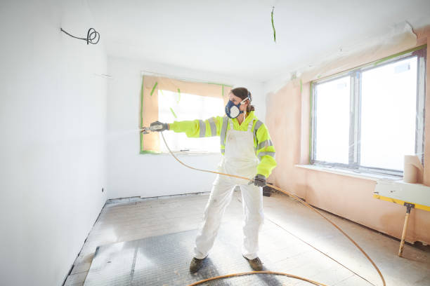 Best Mold Damage Restoration  in Montour Falls, NY