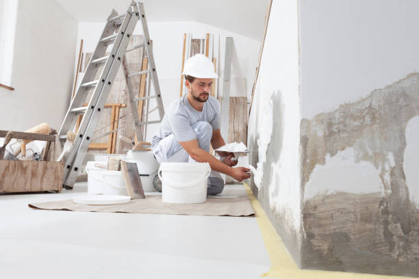Best Real Estate Mold Inspection  in Montour Falls, NY