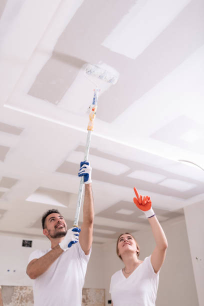 Best HVAC Mold Inspection and Cleaning  in Montour Falls, NY