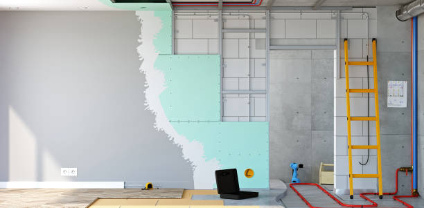 Best Basement Mold Removal  in Montour Falls, NY
