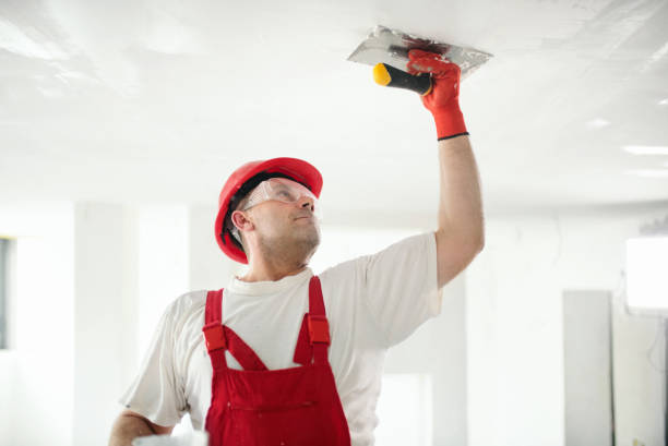 Best Forensic Mold Investigation  in Montour Falls, NY