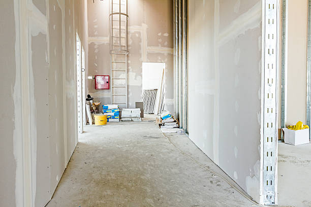 Best Emergency Mold Remediation  in Montour Falls, NY