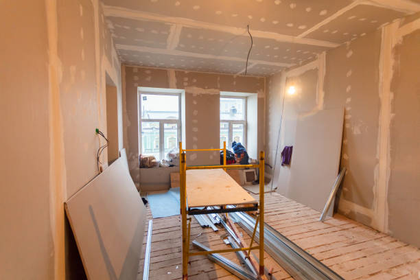 Best Biohazard Mold Removal  in Montour Falls, NY